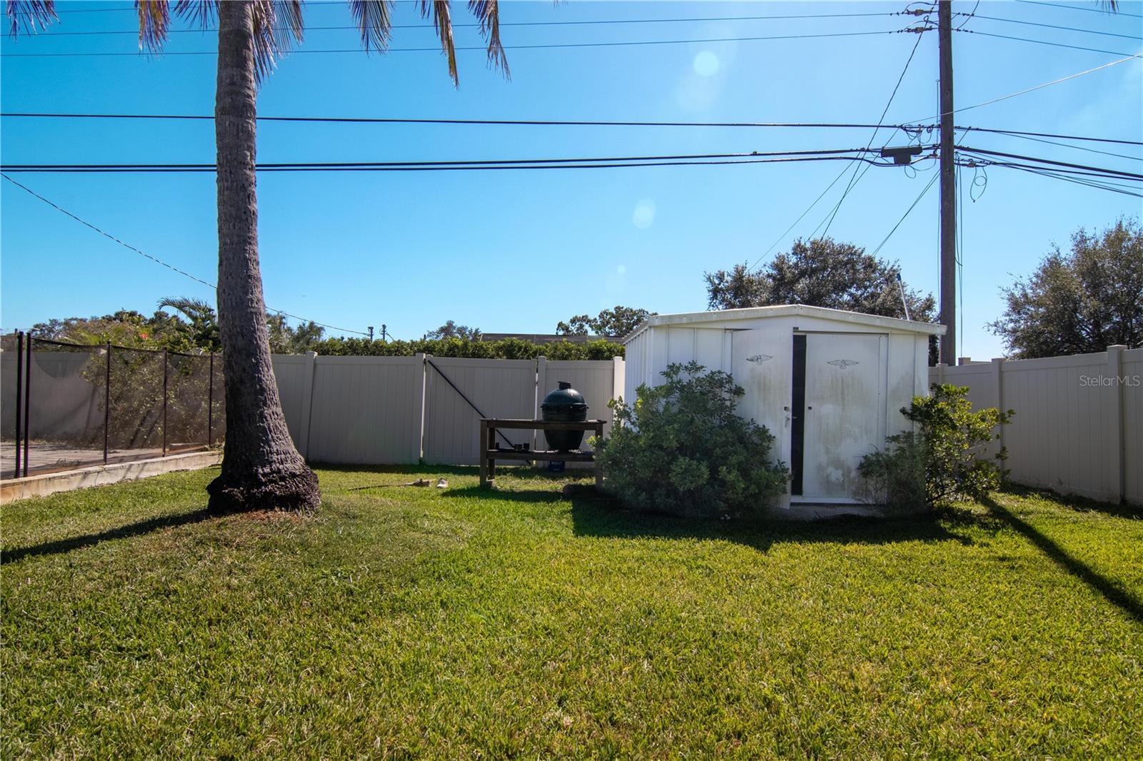 Backyard with shed