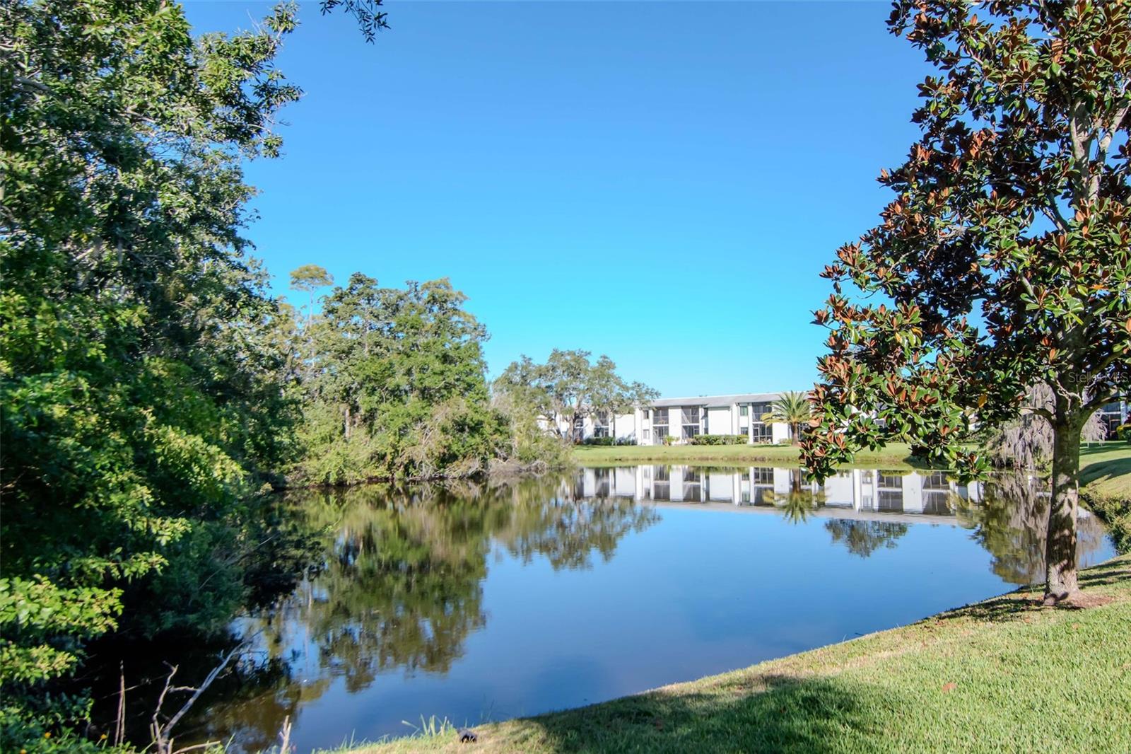 Lake seen through the Development