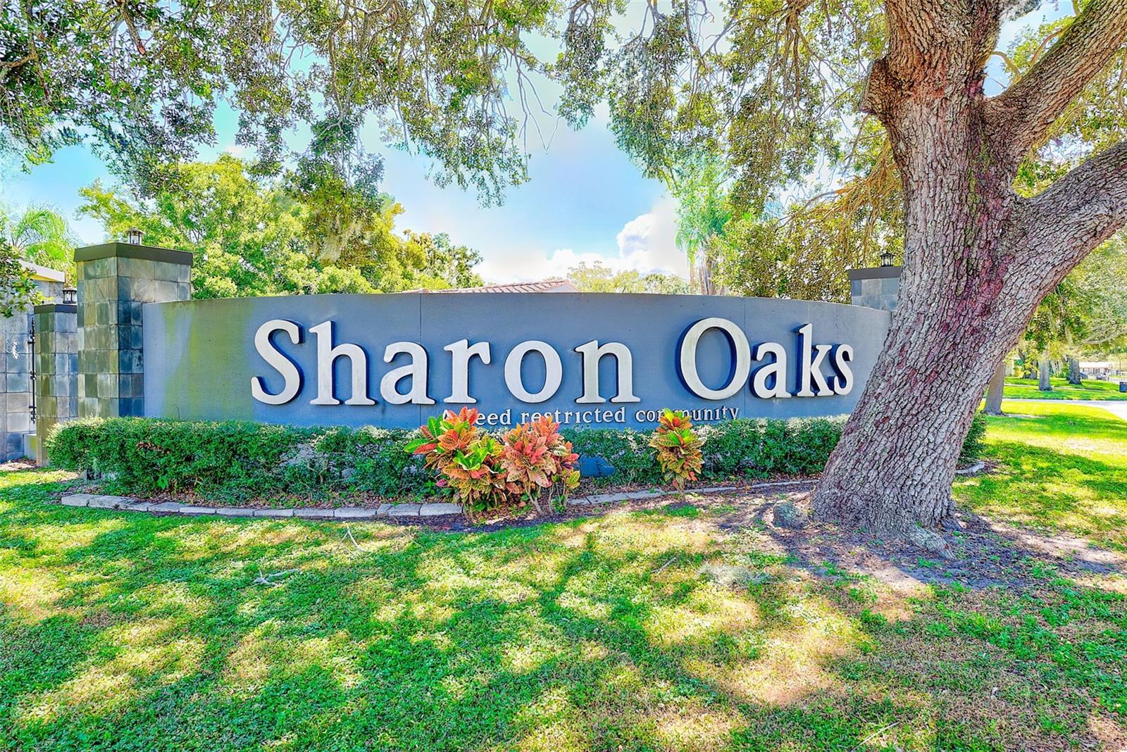 Sharon Oaks in Clearwater, Florida