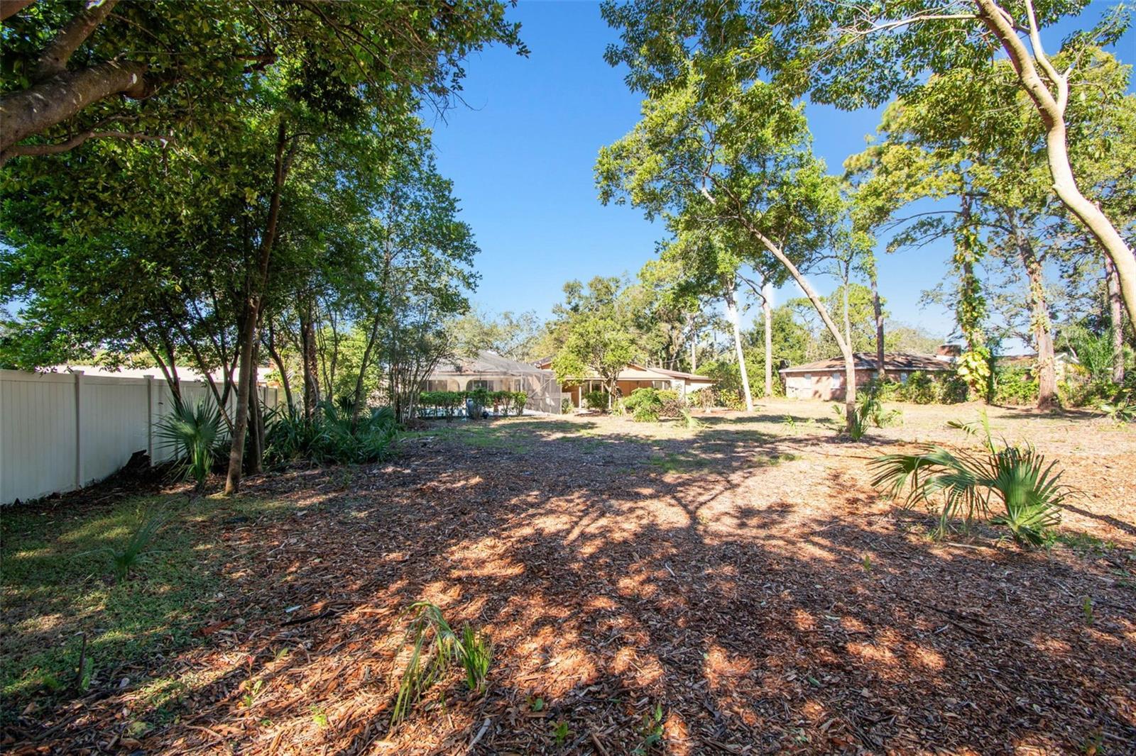 Backyard4