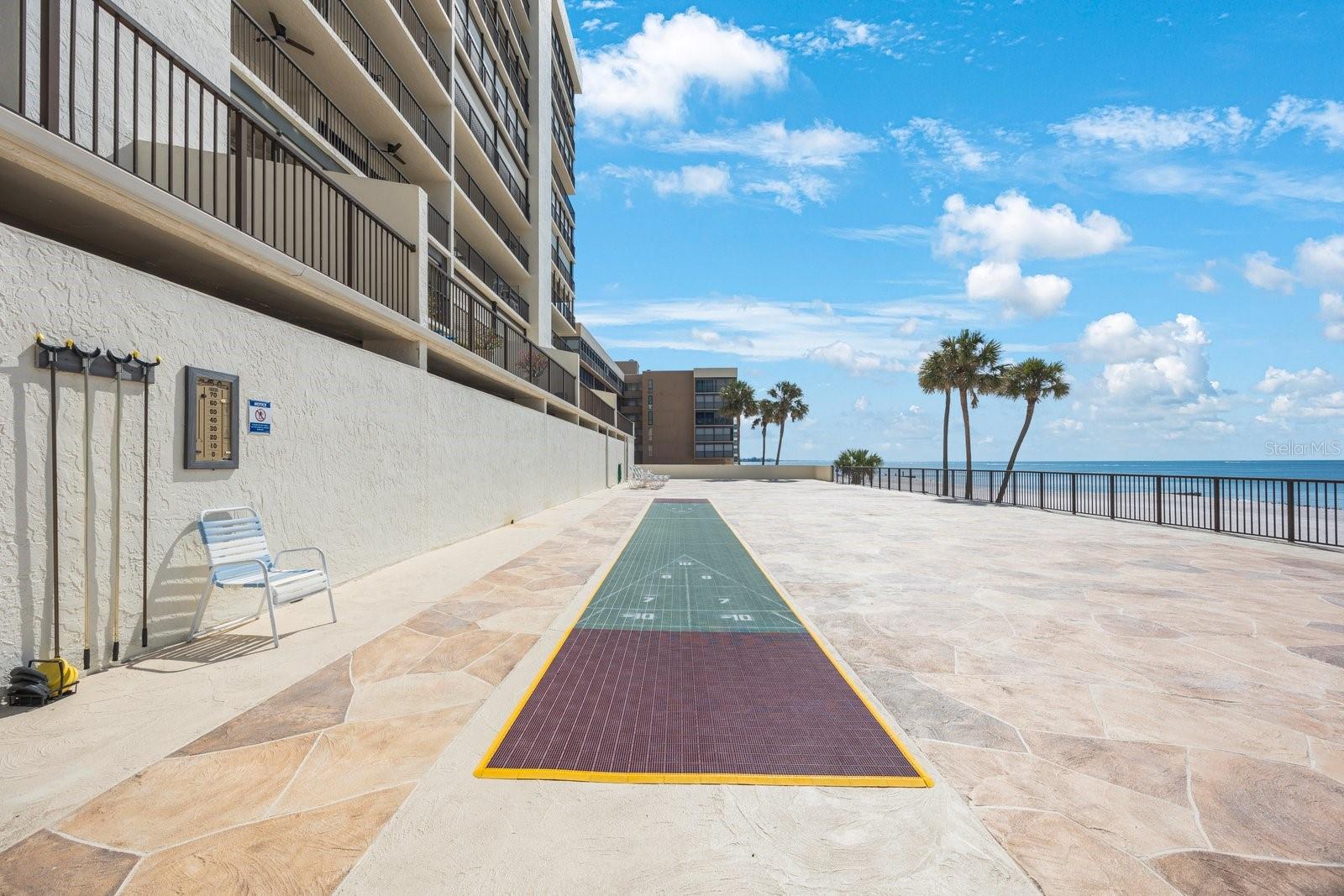 Shuffleboard Court