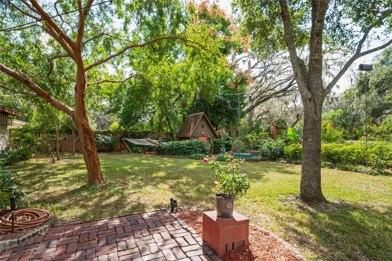 Backyard