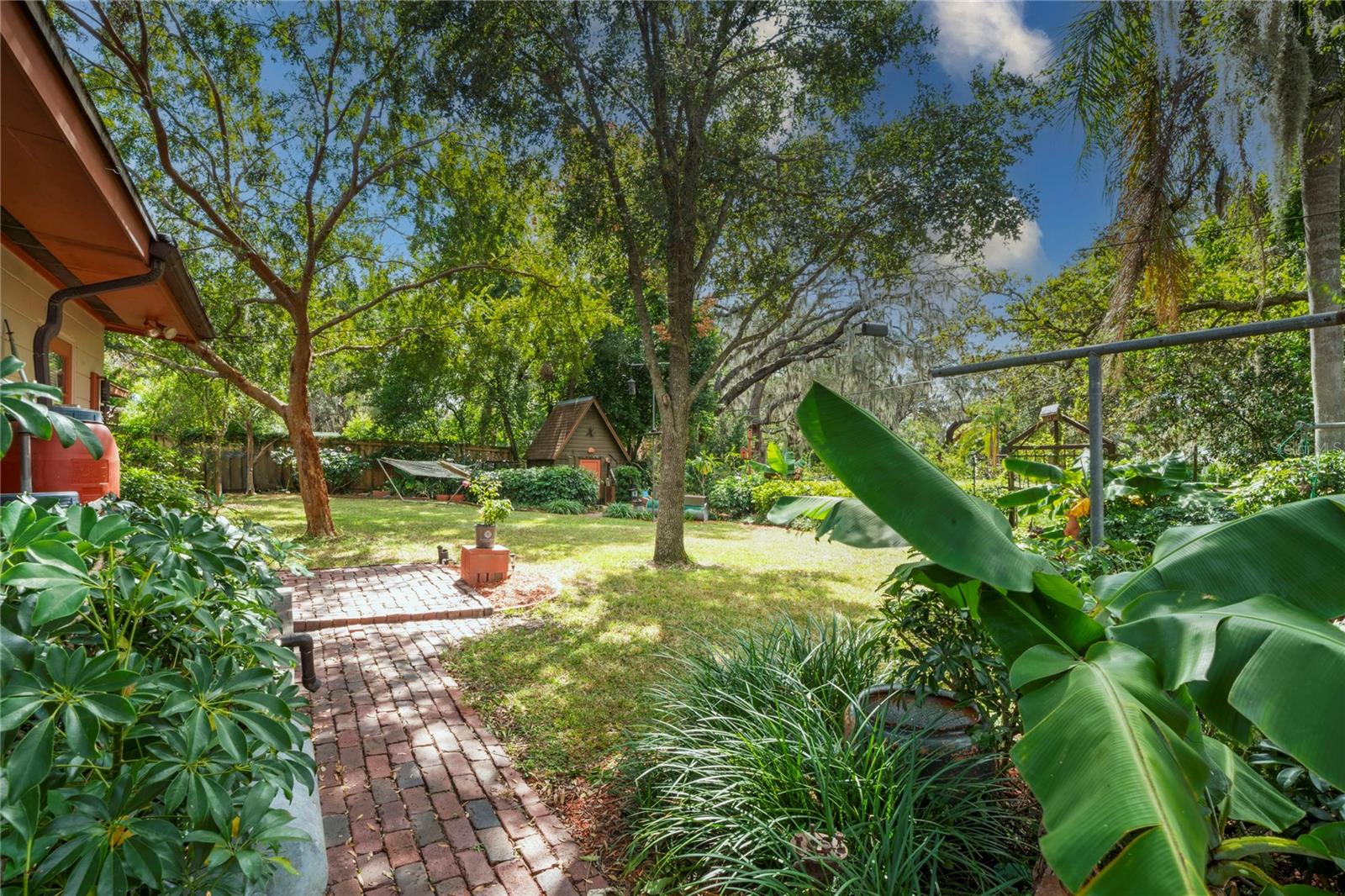Backyard