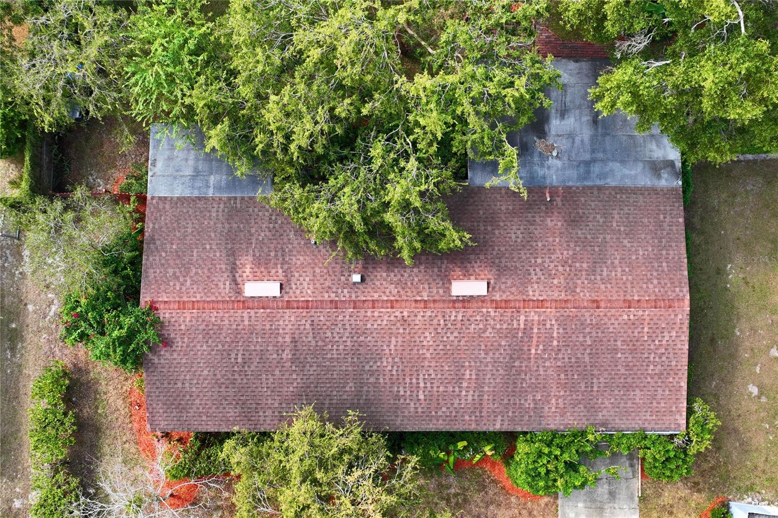 Birdseye