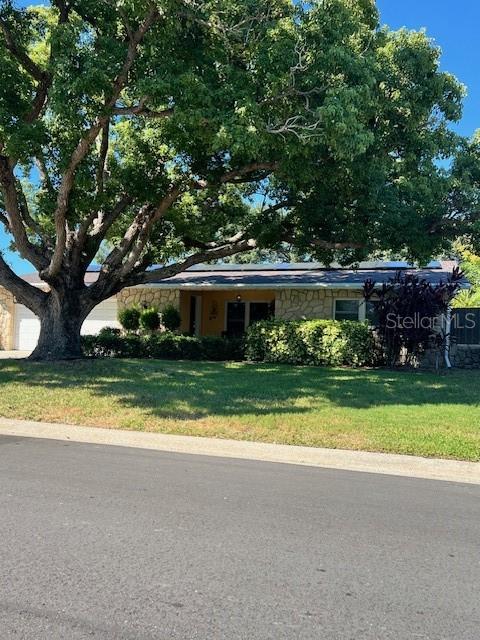 Large tree in front keeps home shaded & cool!