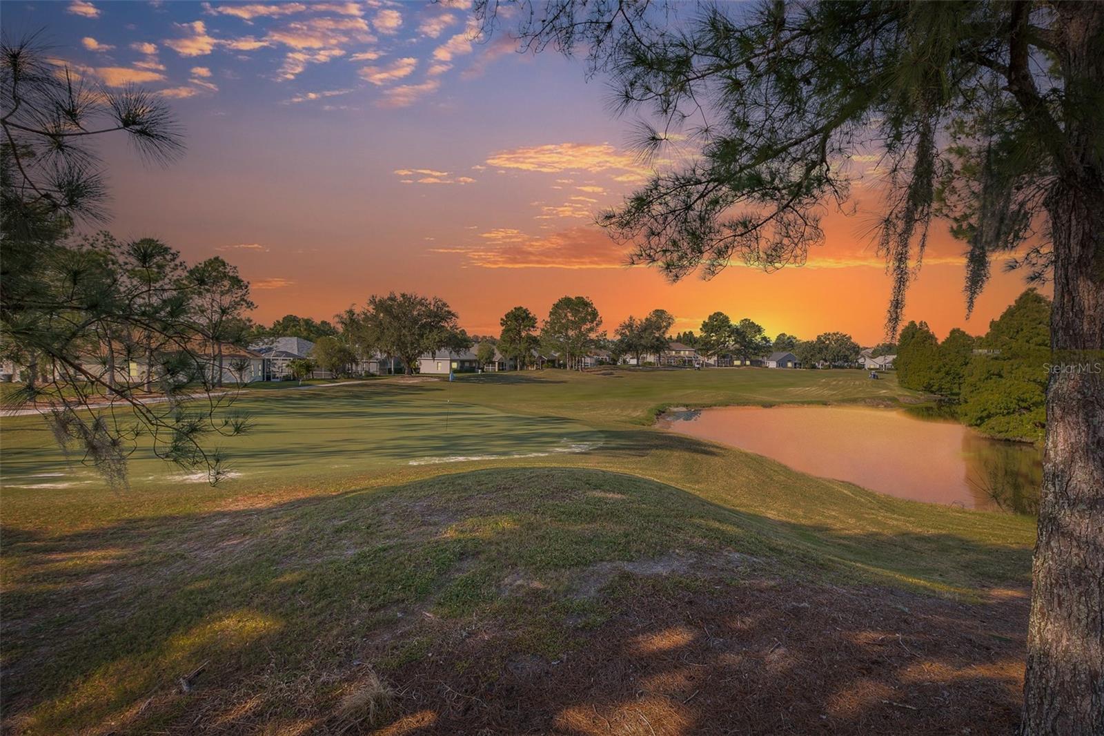Golf Course Views