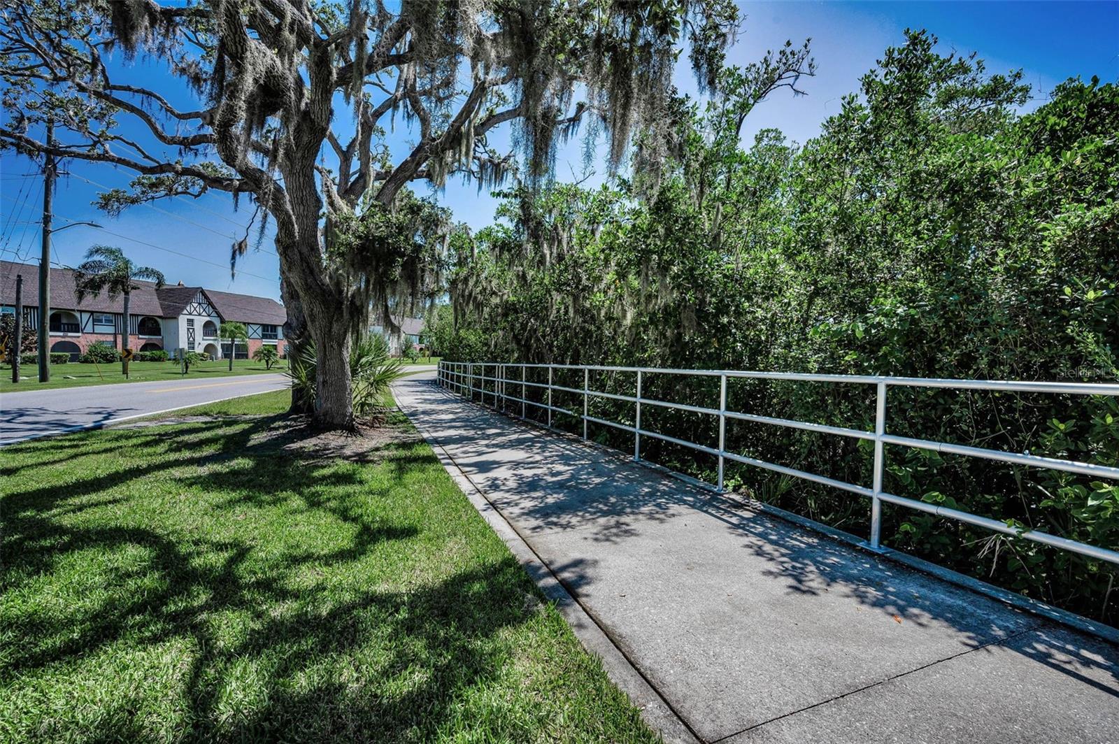 Pinellas Trail
