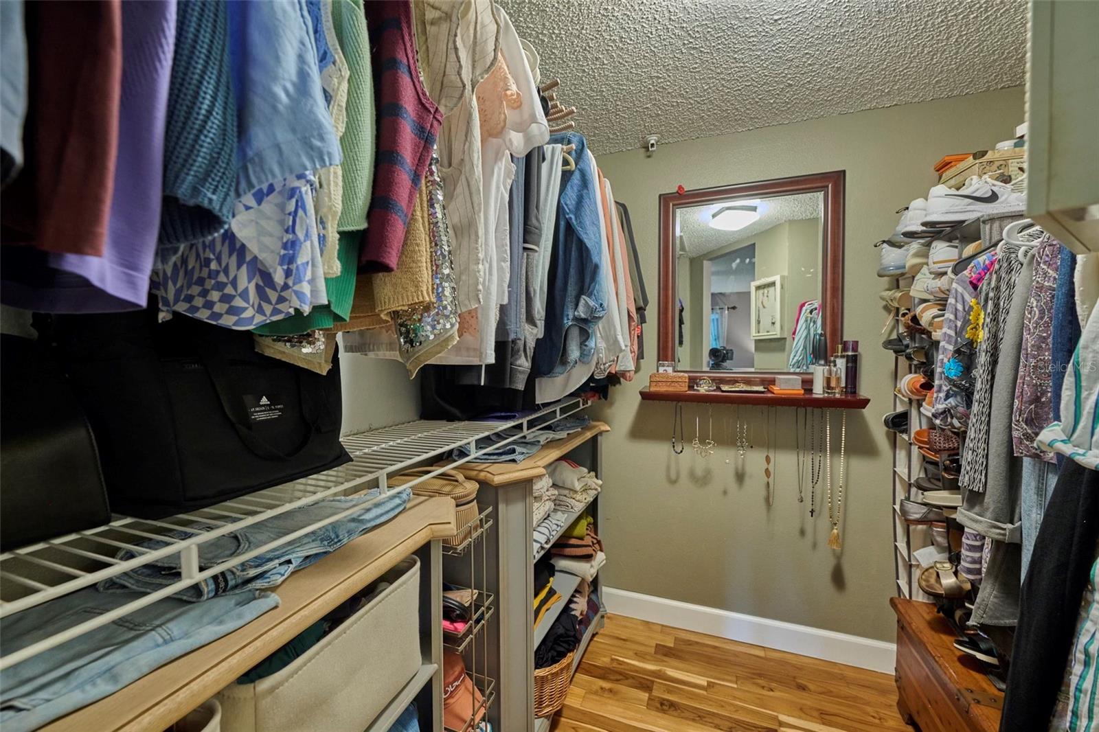 Walk-in Primary Closet