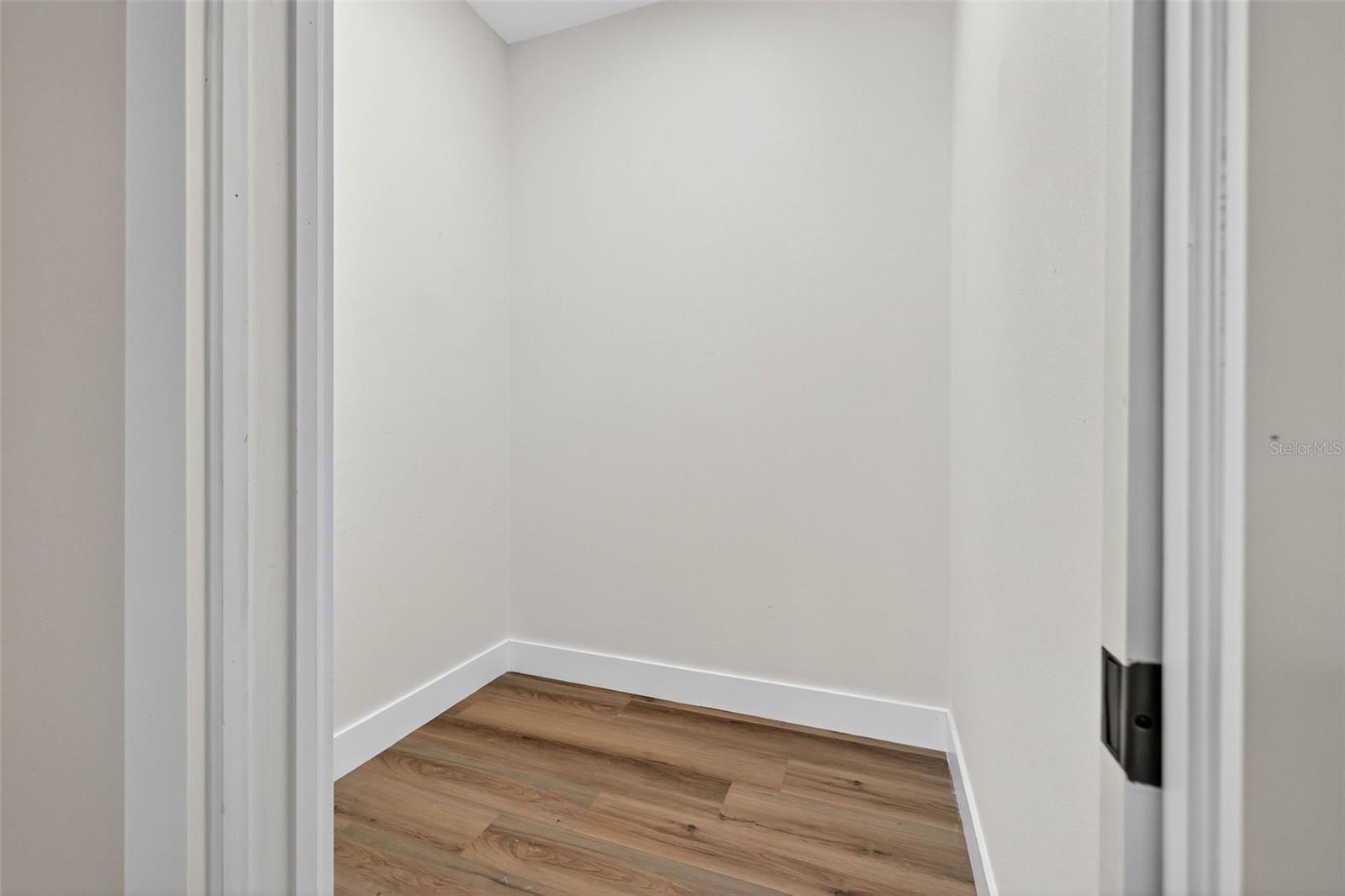 Bedroom 2 Walk In Closet