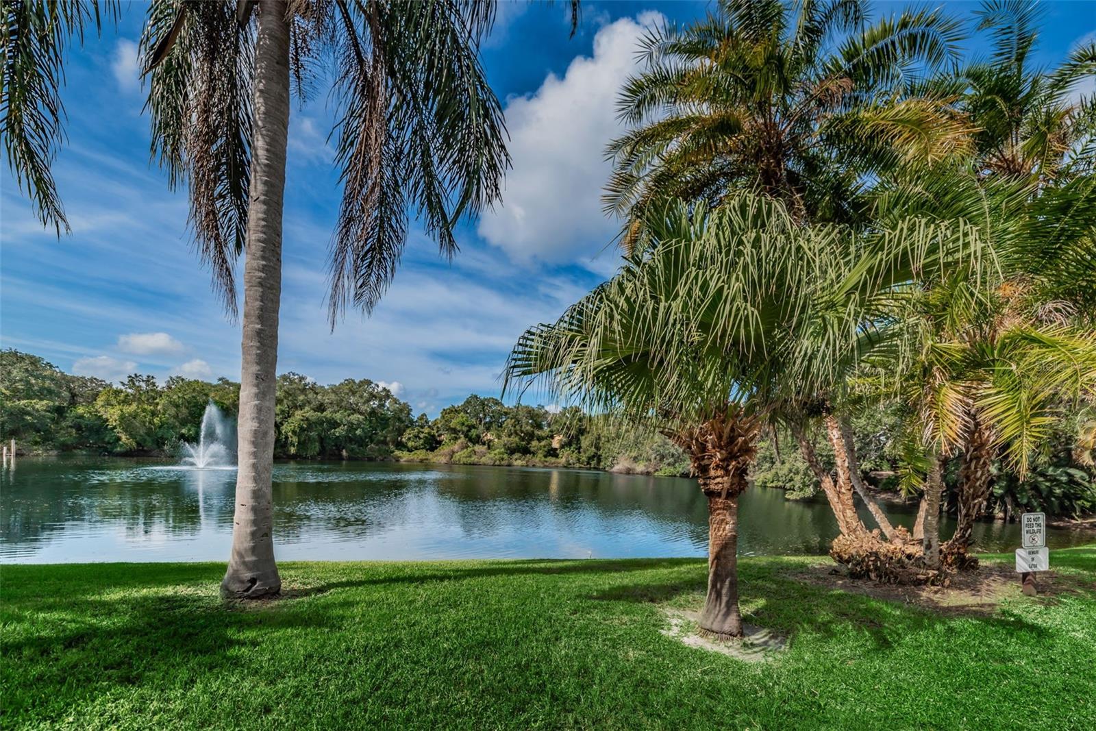 Serene Pond