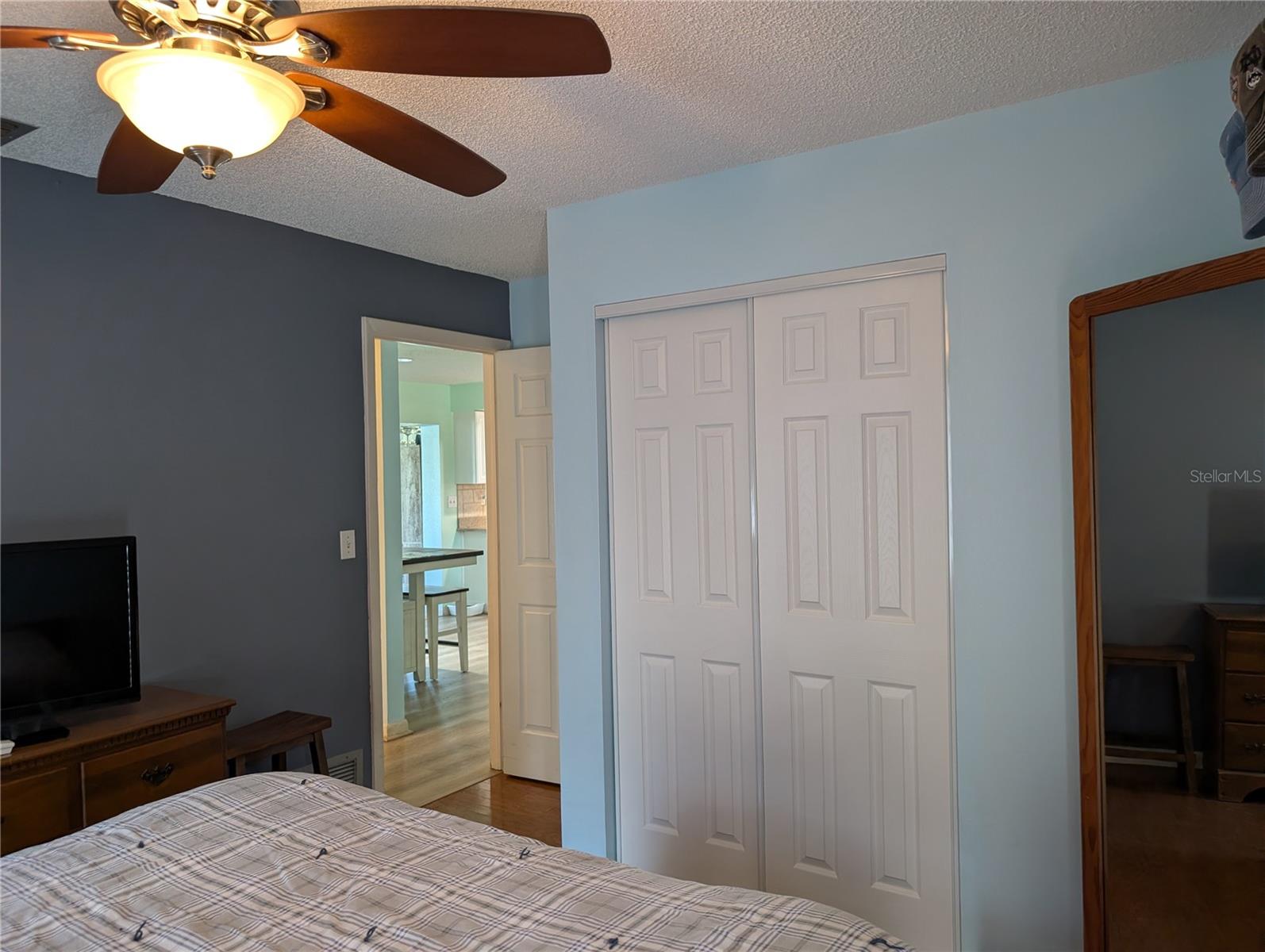 View of new closet doors and entry to hallway and living area.