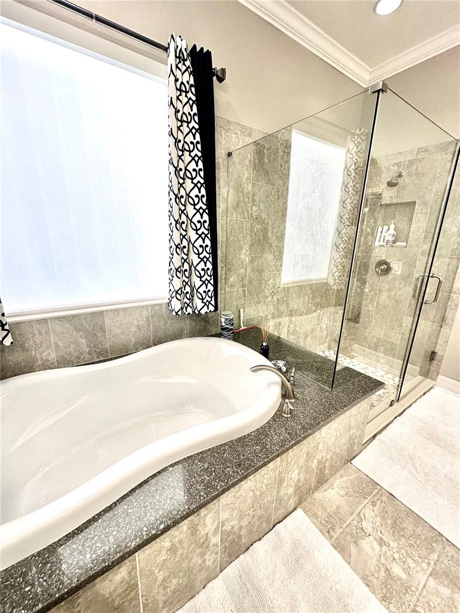 Primary Tub & Separate Shower