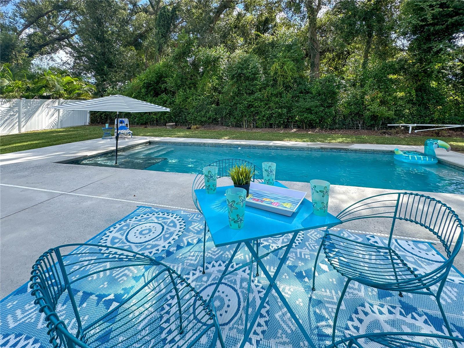 Pool and Rear Patio