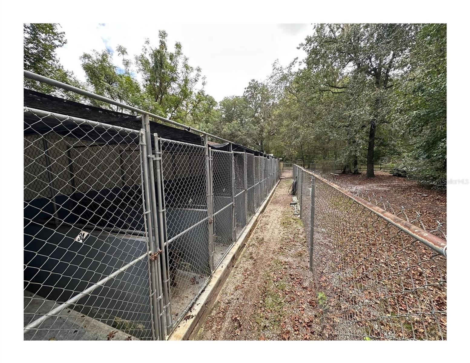 covered outdoor runs