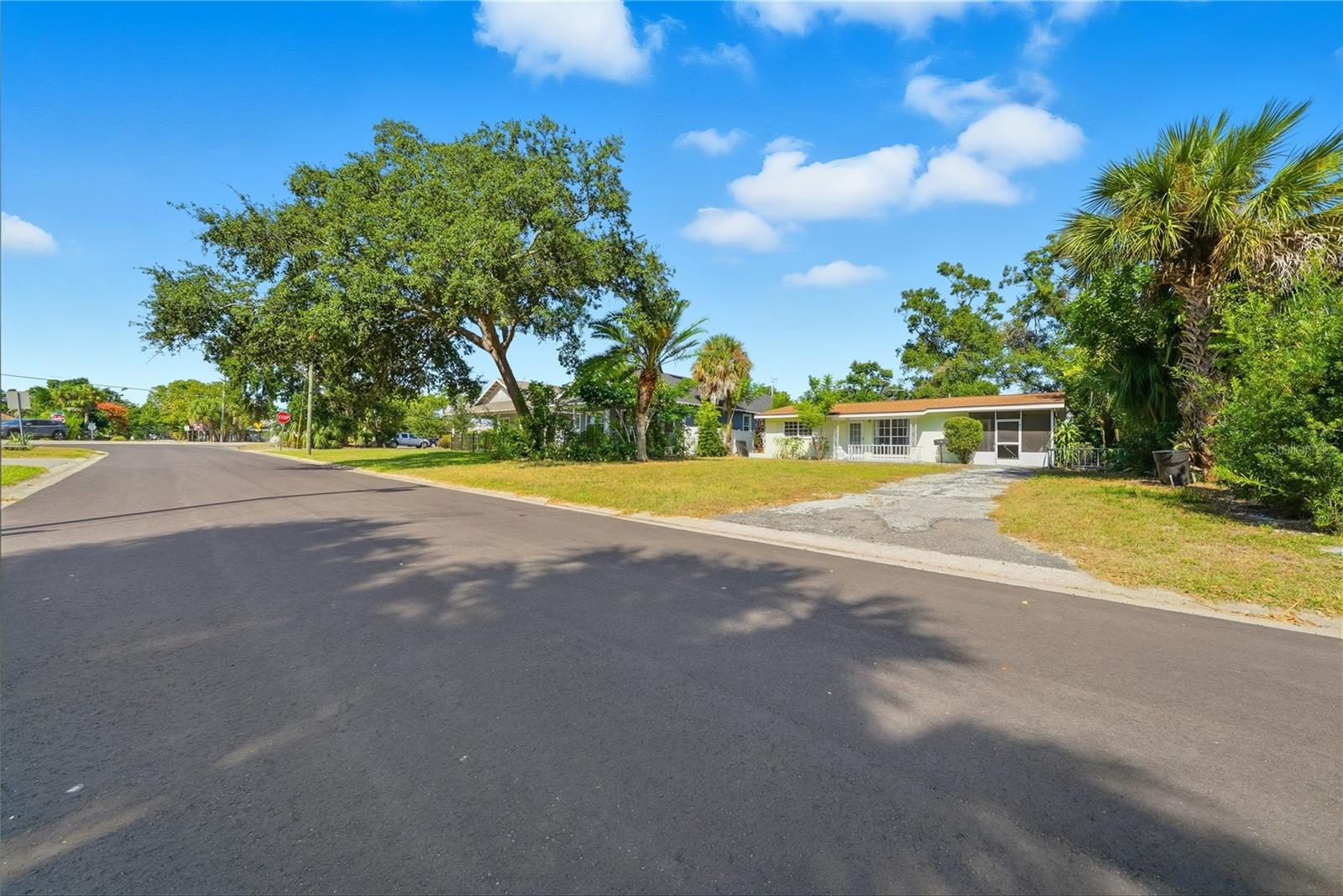 Landscaped yard & paved road
