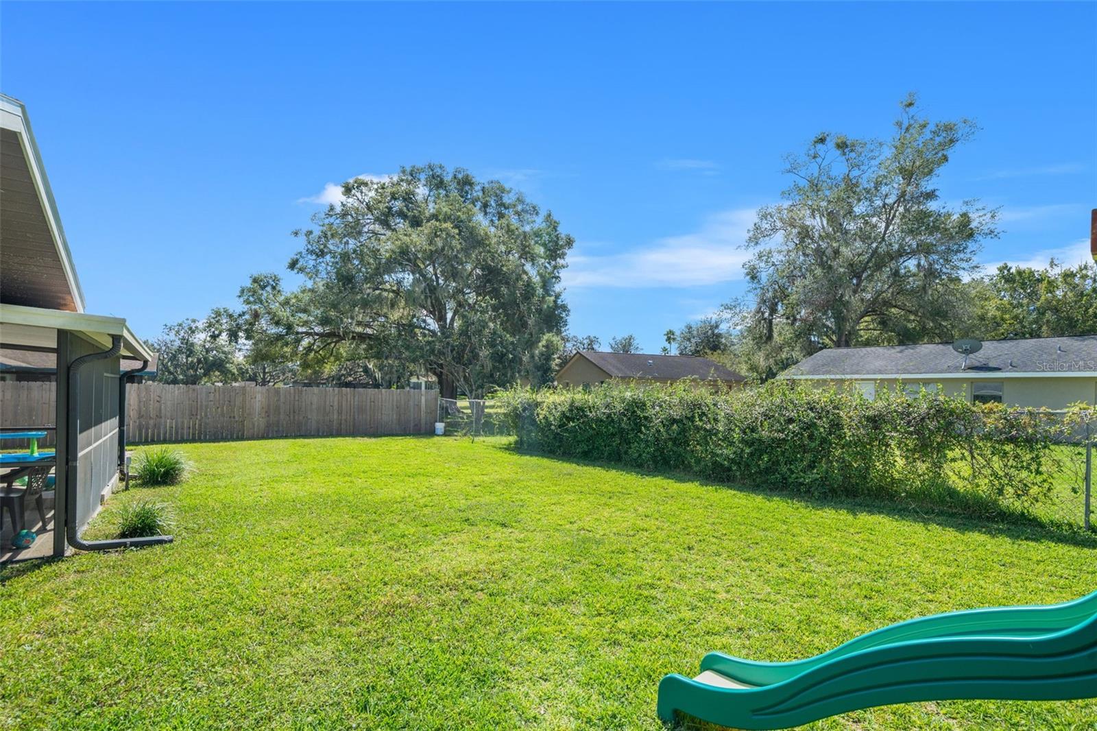Backyard