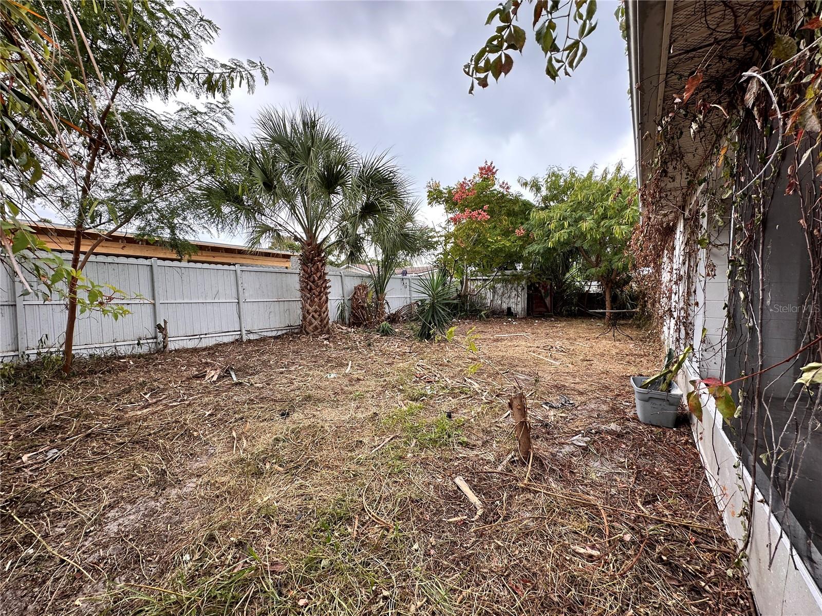 Backyard