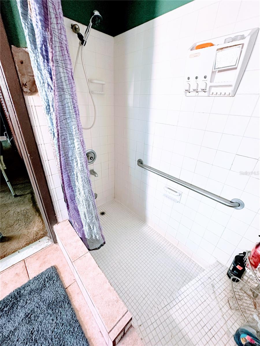 Primary ensuite shower