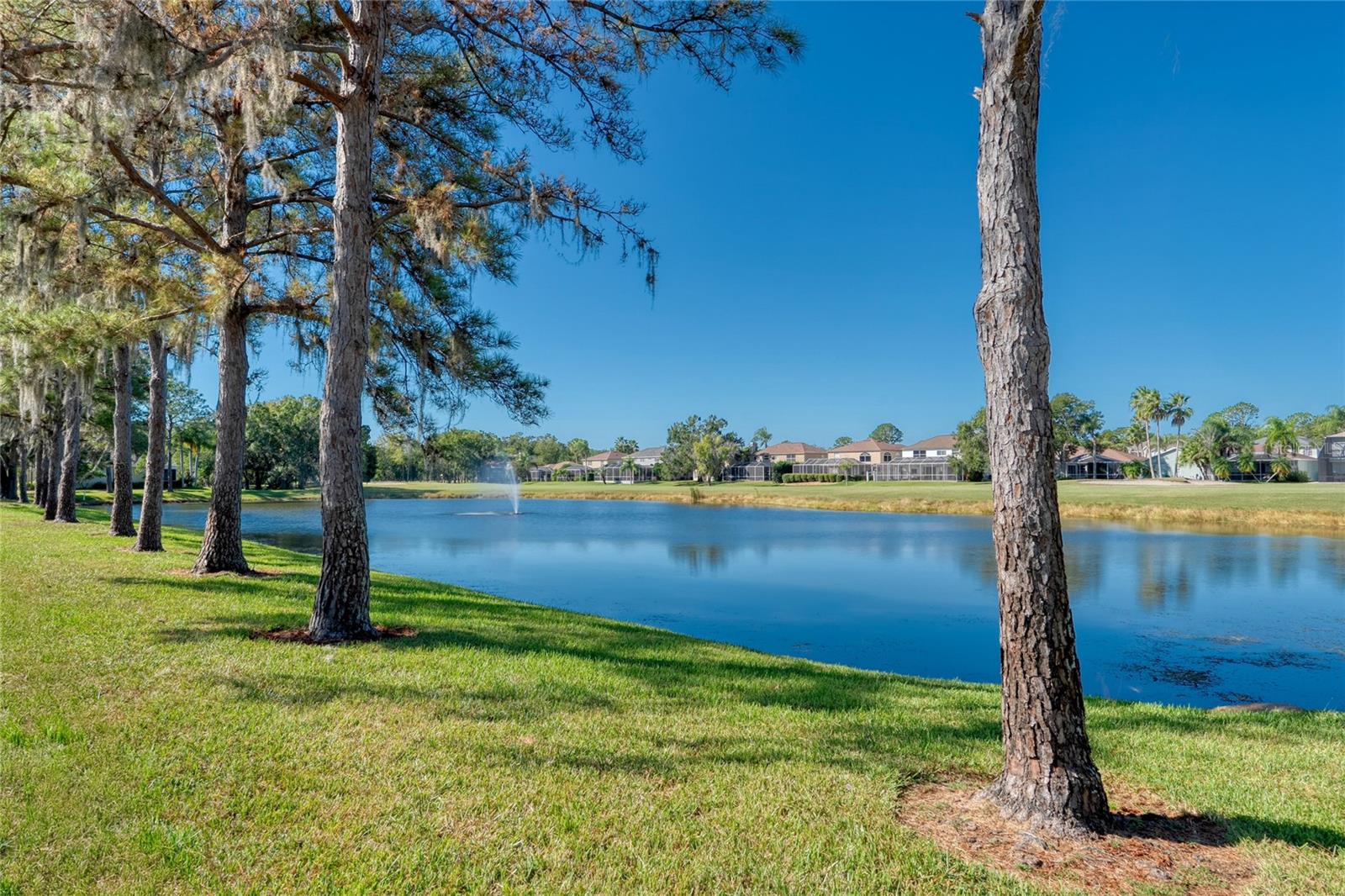 View of the fountain in the pond next to the home