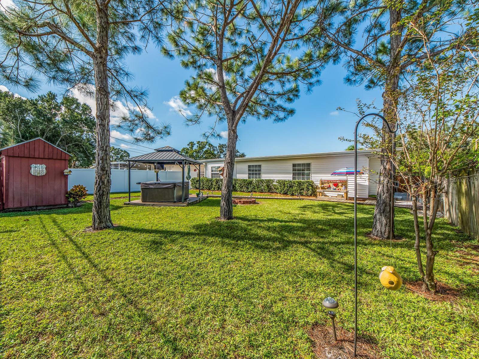 LOOKING FROM BACK YARD