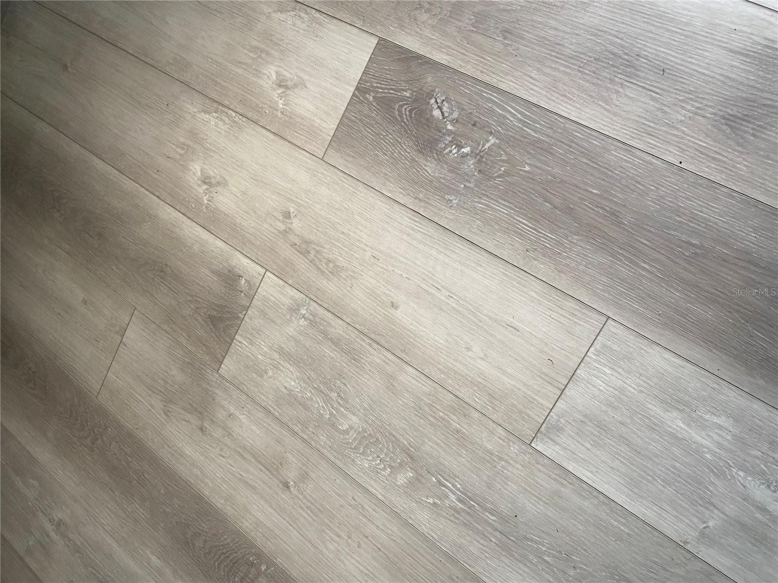Updated LVP Flooring