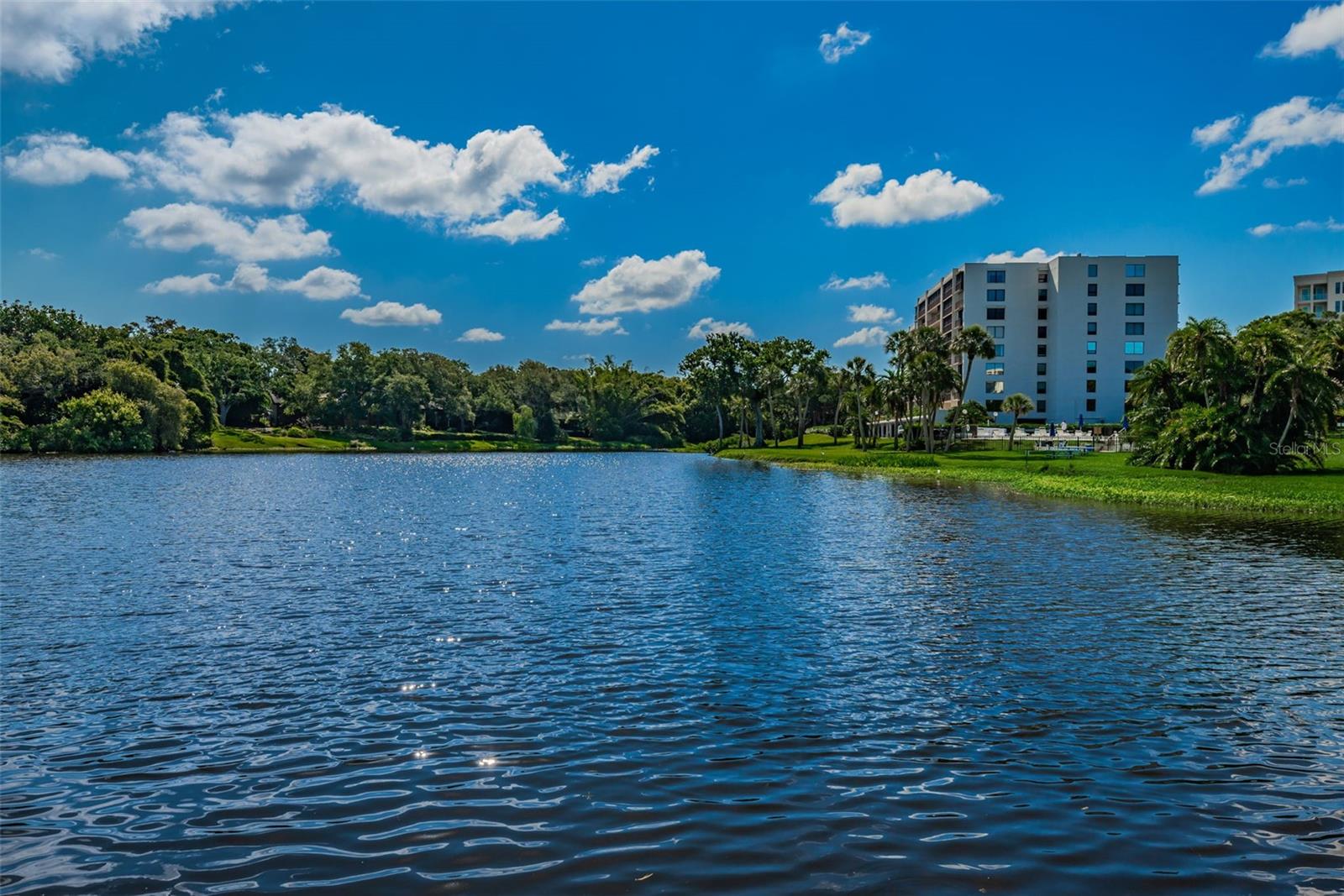 View of Bayshore II from Harold Lake. The pool is at the base of the building, with underground parking for this unit #305.