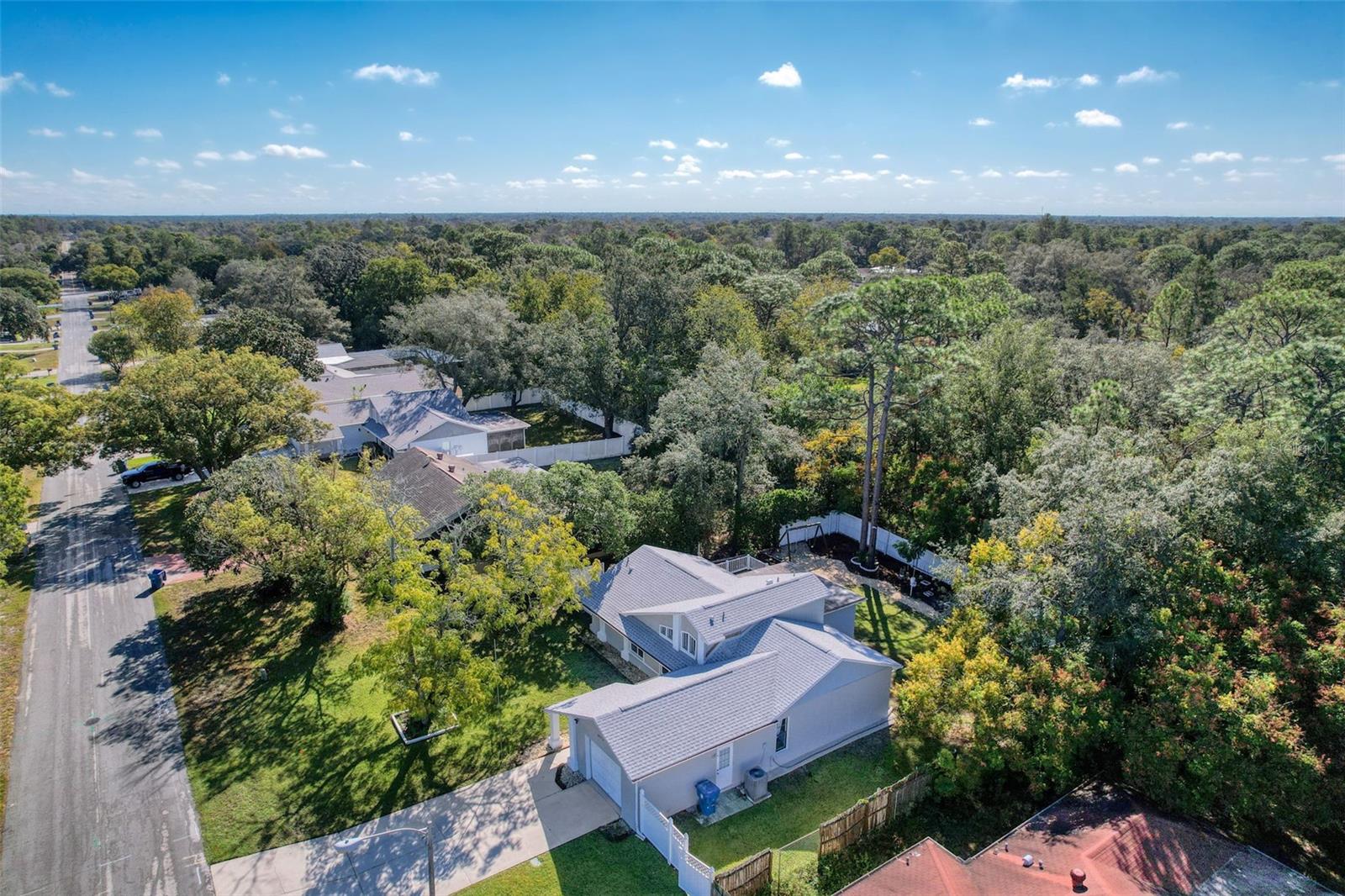 Lovely neighborhood FULL of trees.