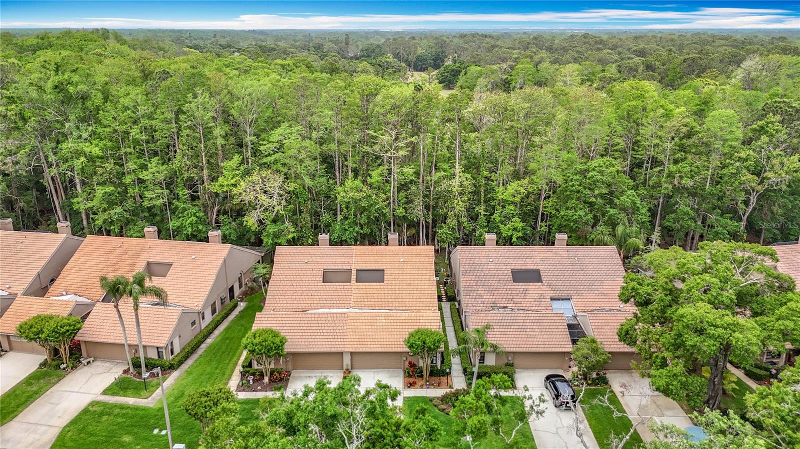 Conservation Lot