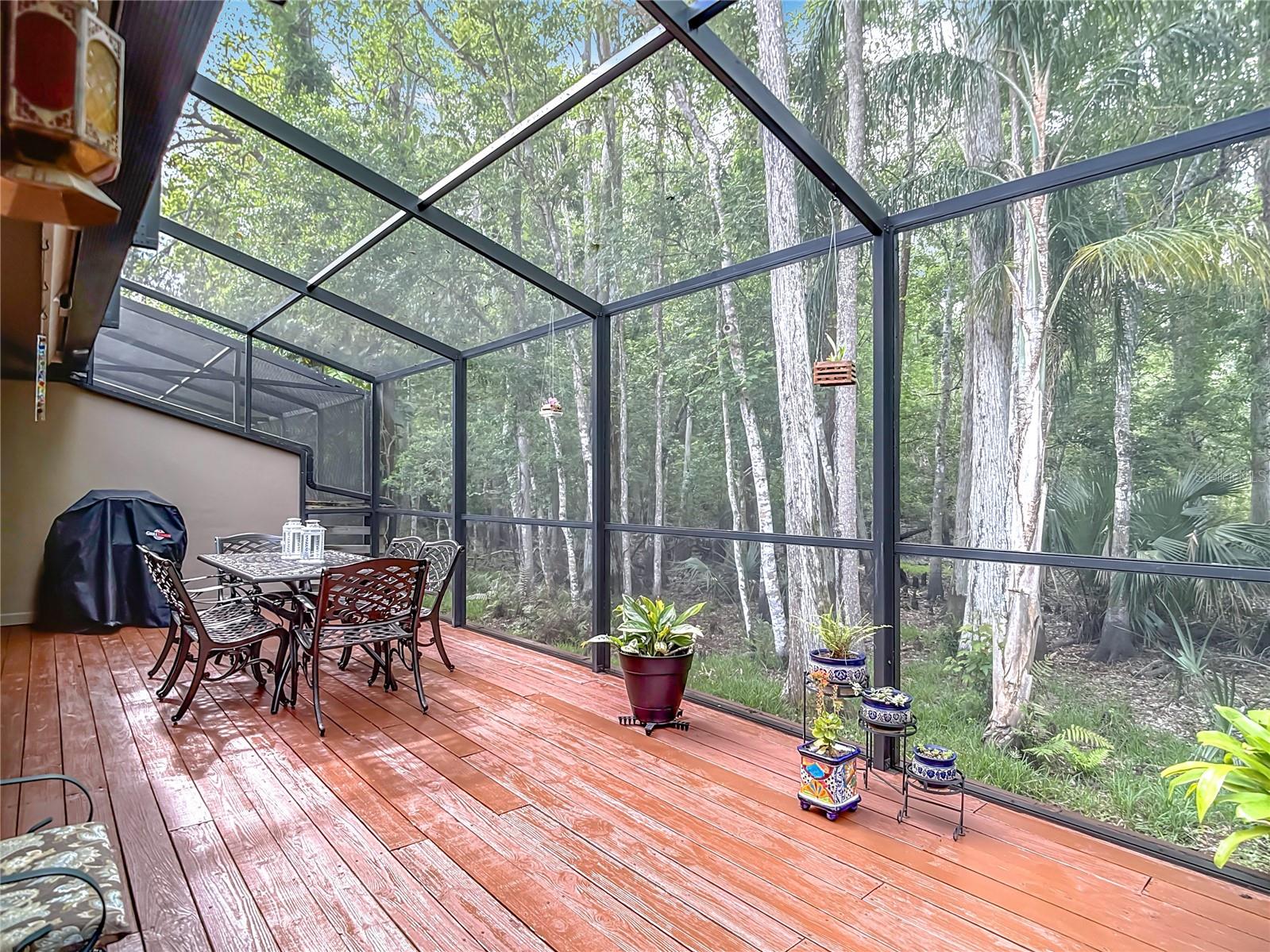 Screened Deck