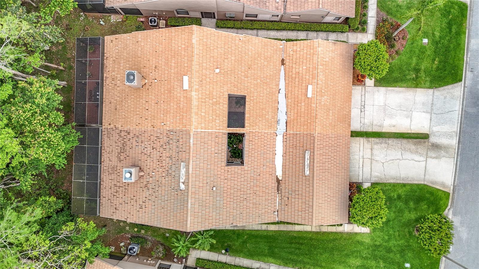 Bird's Eye
