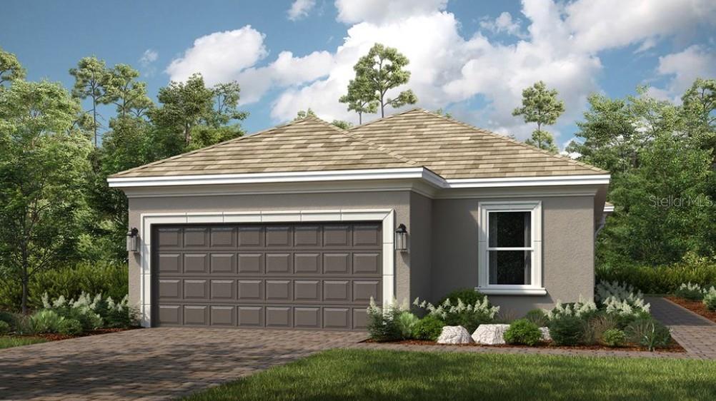 The Arezzo ~ Rendering