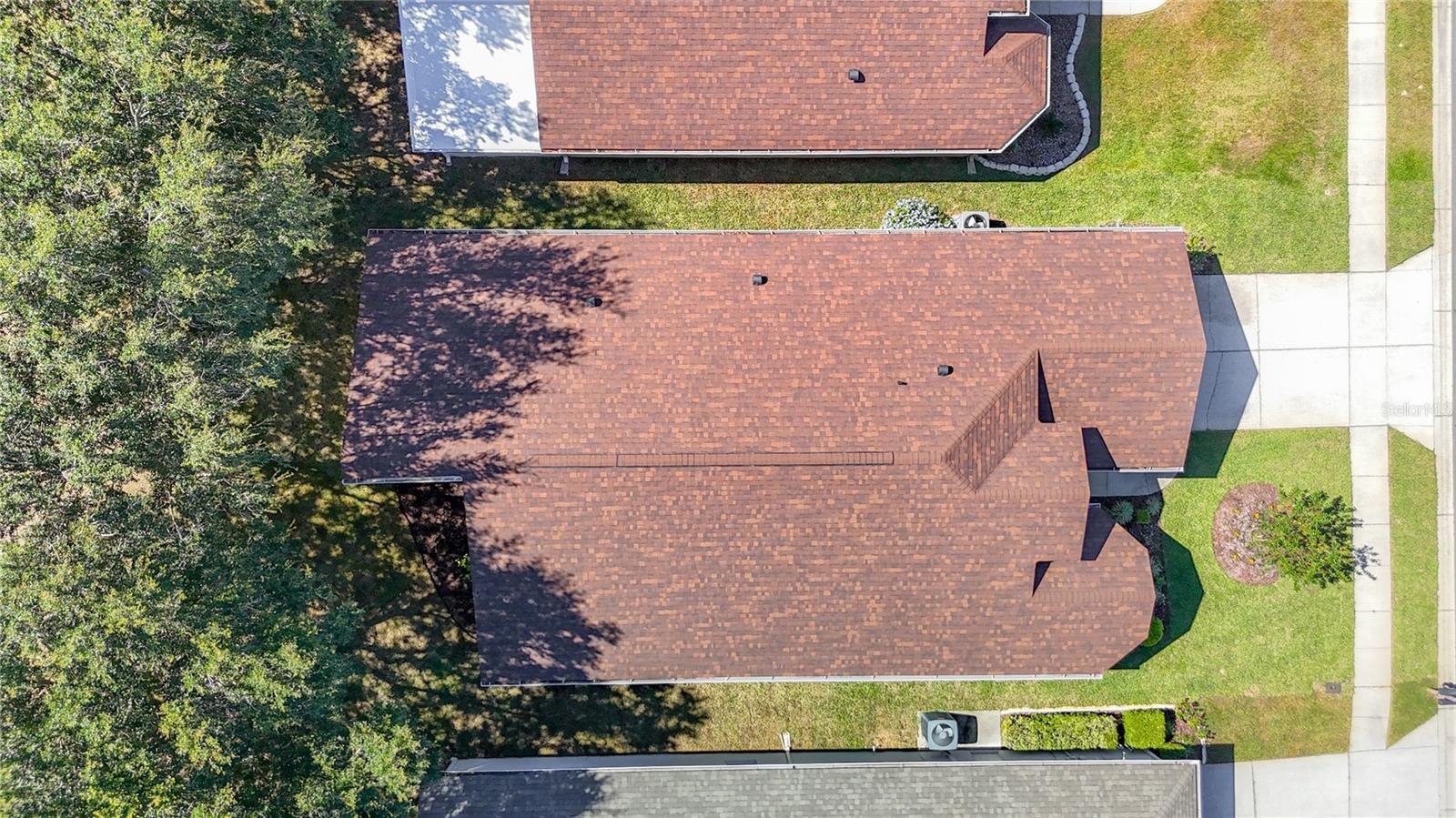 Bird's Eye