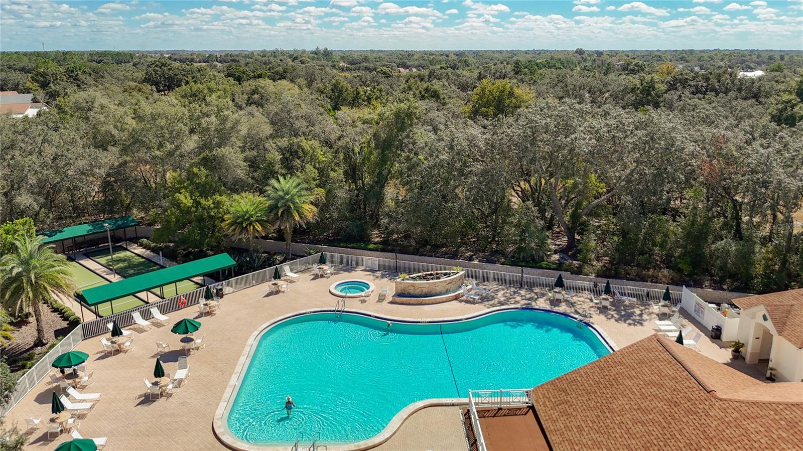 Pool and Spa