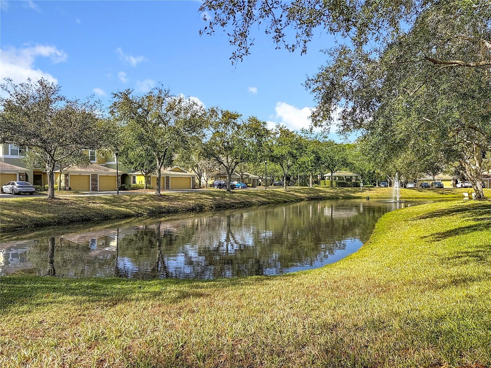 Serene pond view from your back porch