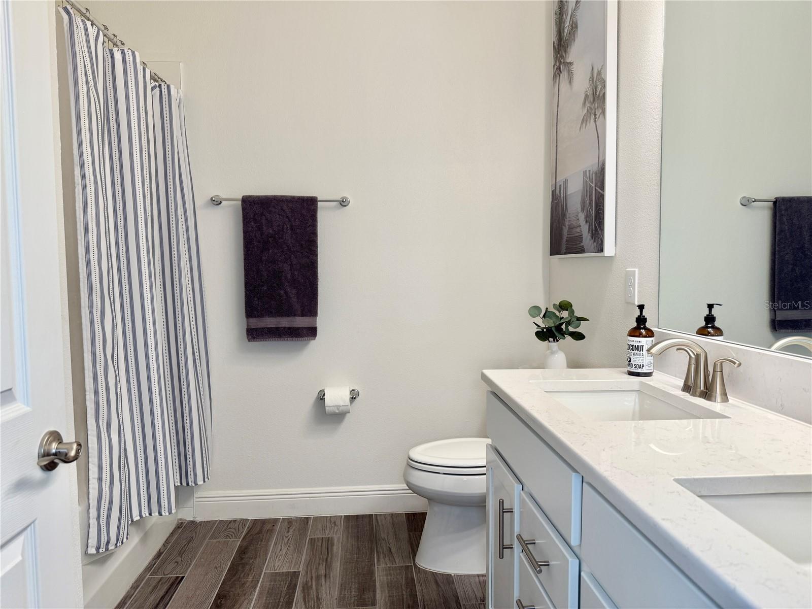 Guest Hall Bathroom