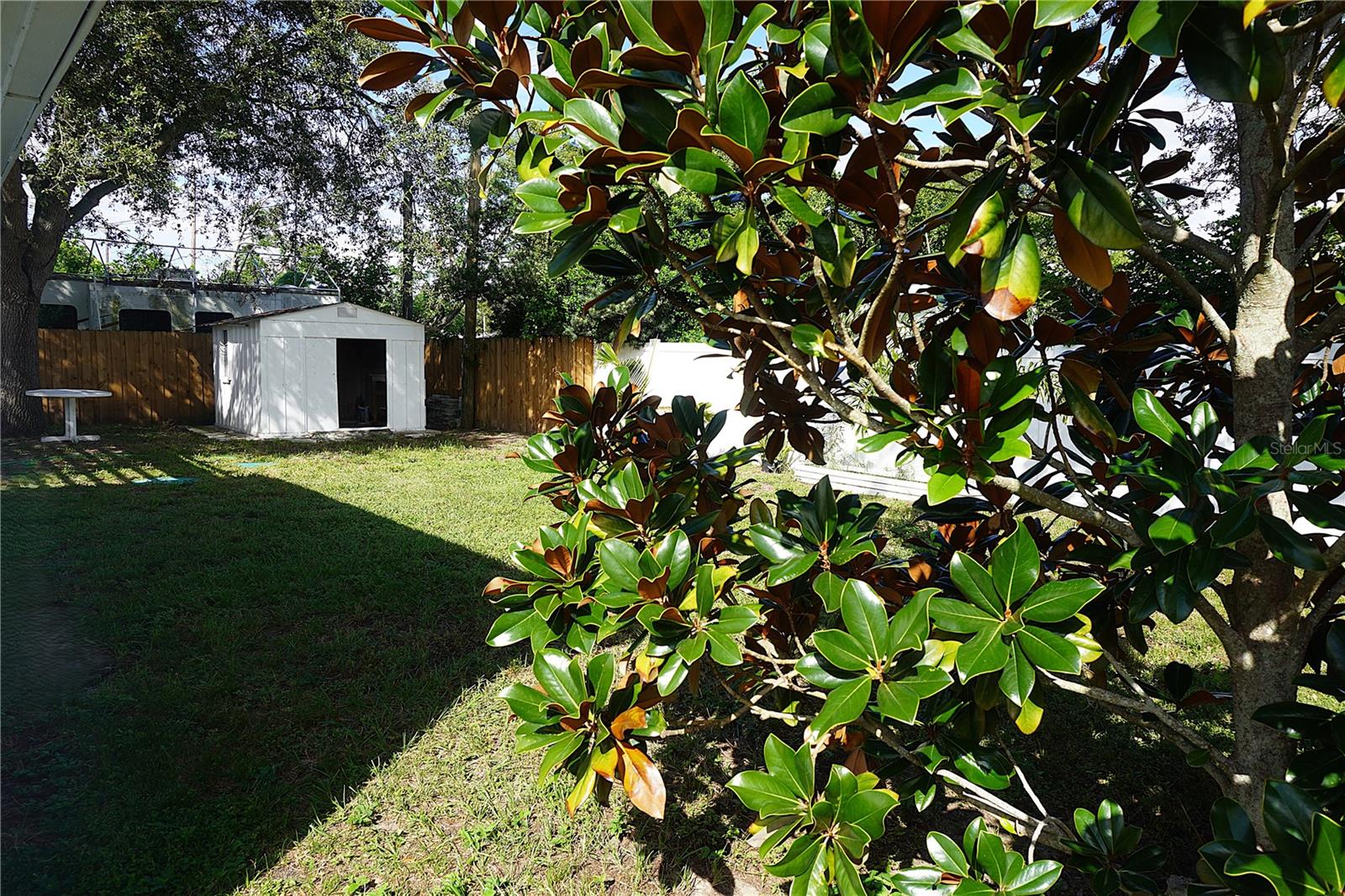 Back Yard