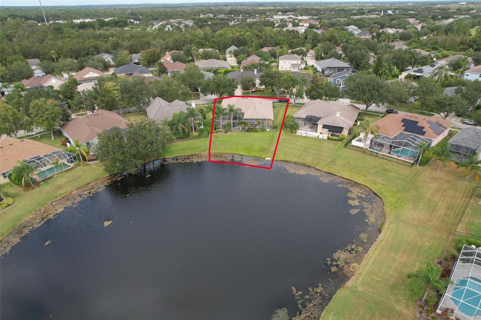 Pond