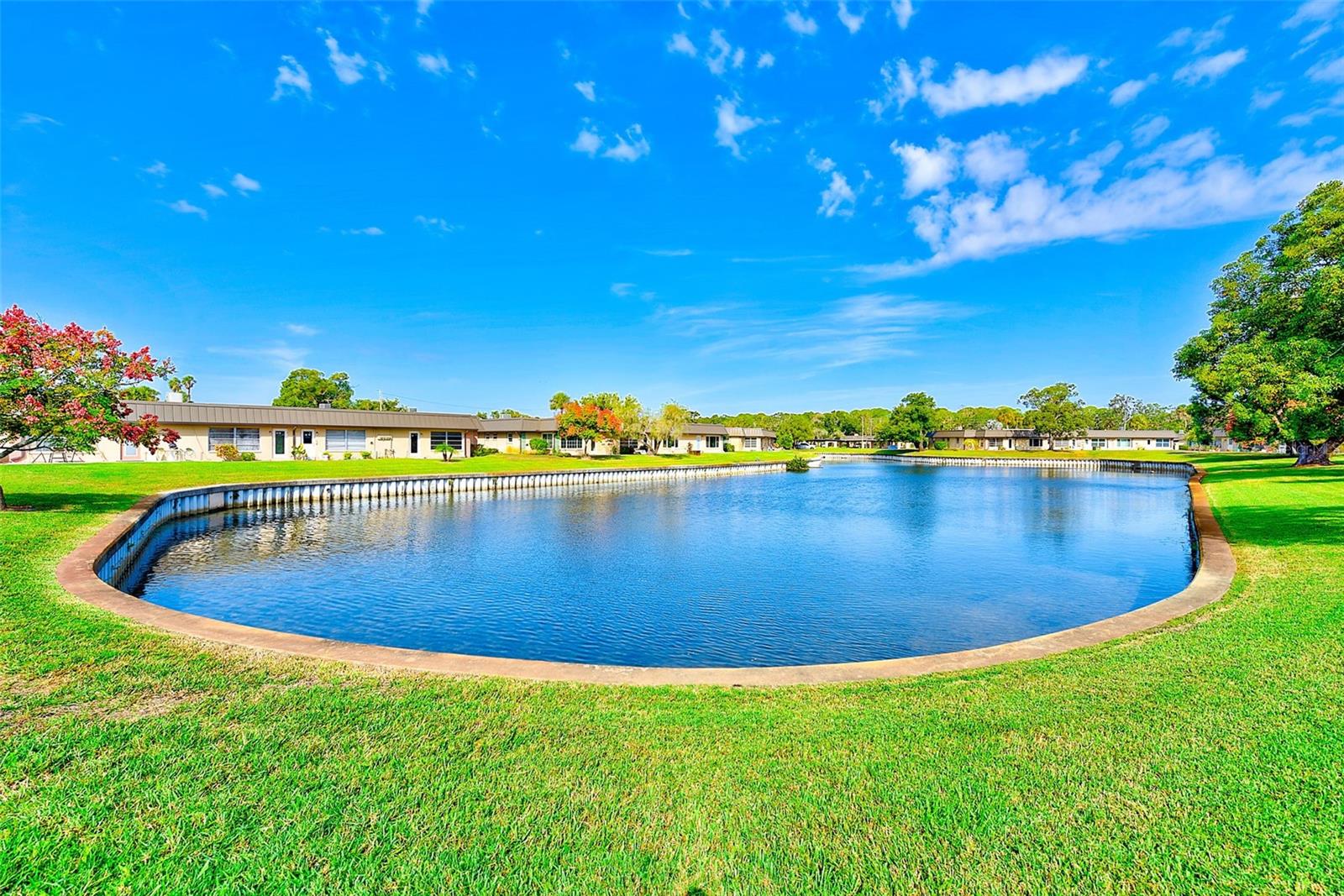 pond view