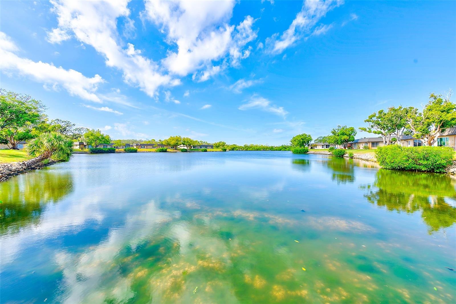 community pond