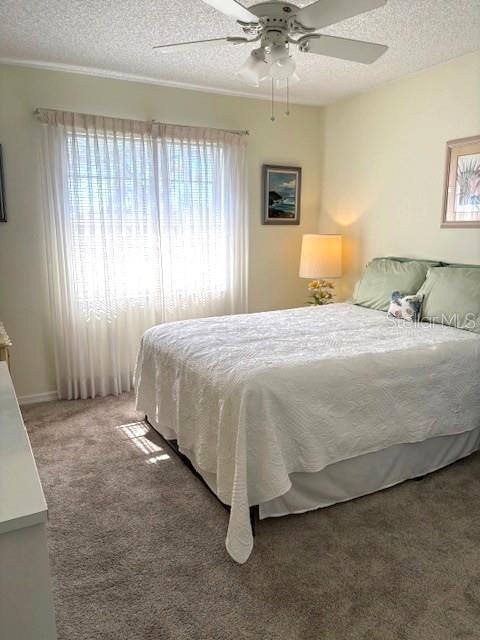 Second Bedroom with Ceiling Fan