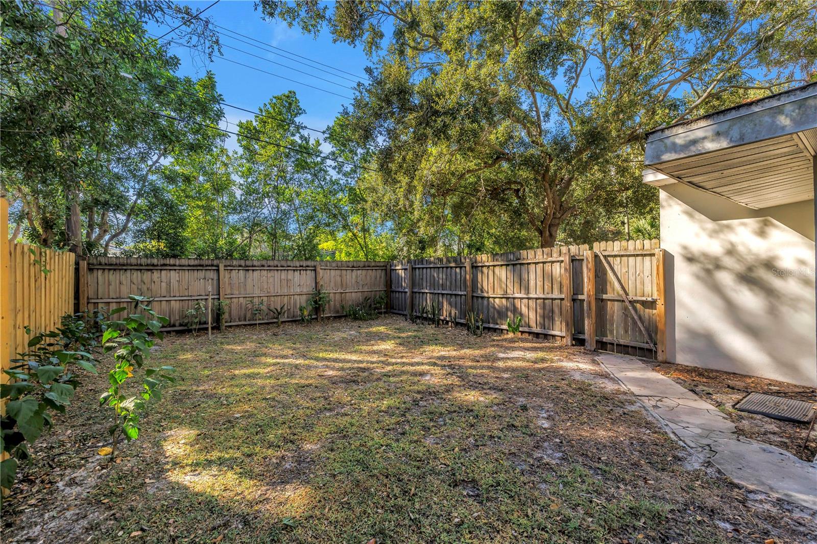 Backyard