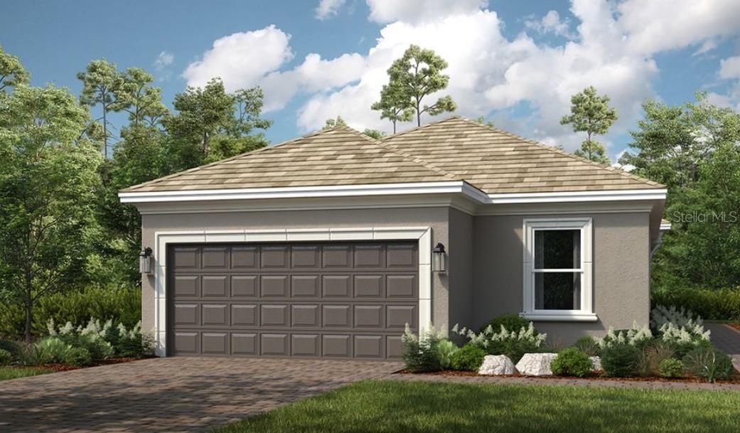 The Arezzo ~ Rendering