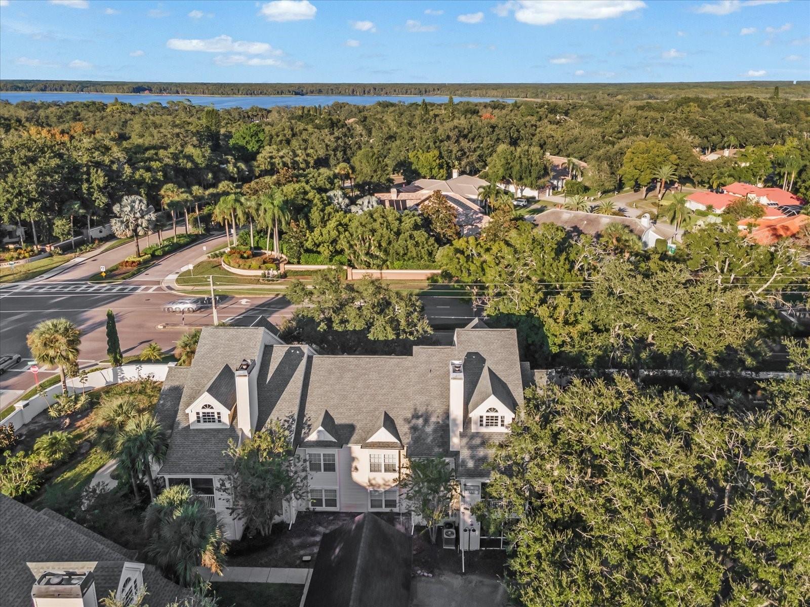 Lake Tarpon Ariel View