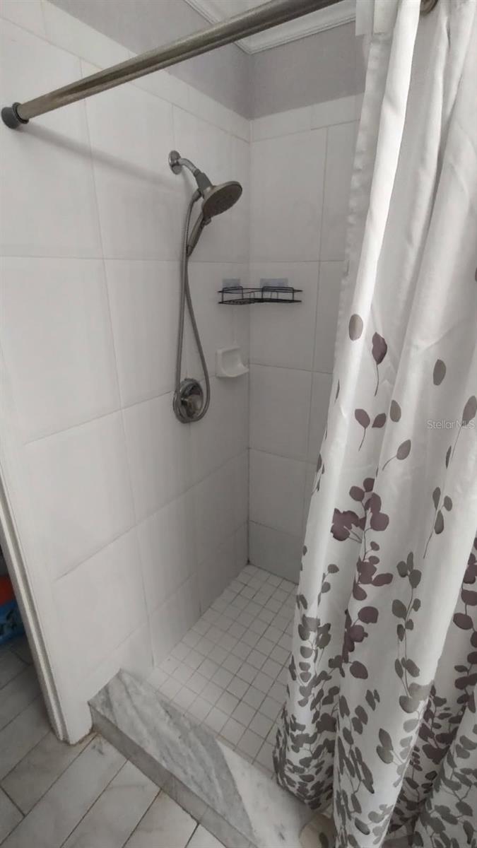 Primary Bathroom walk in shower