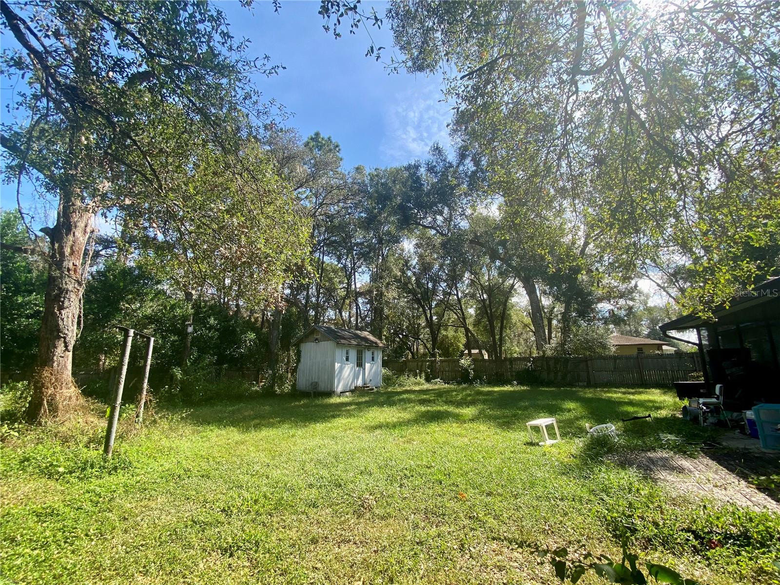 back yard