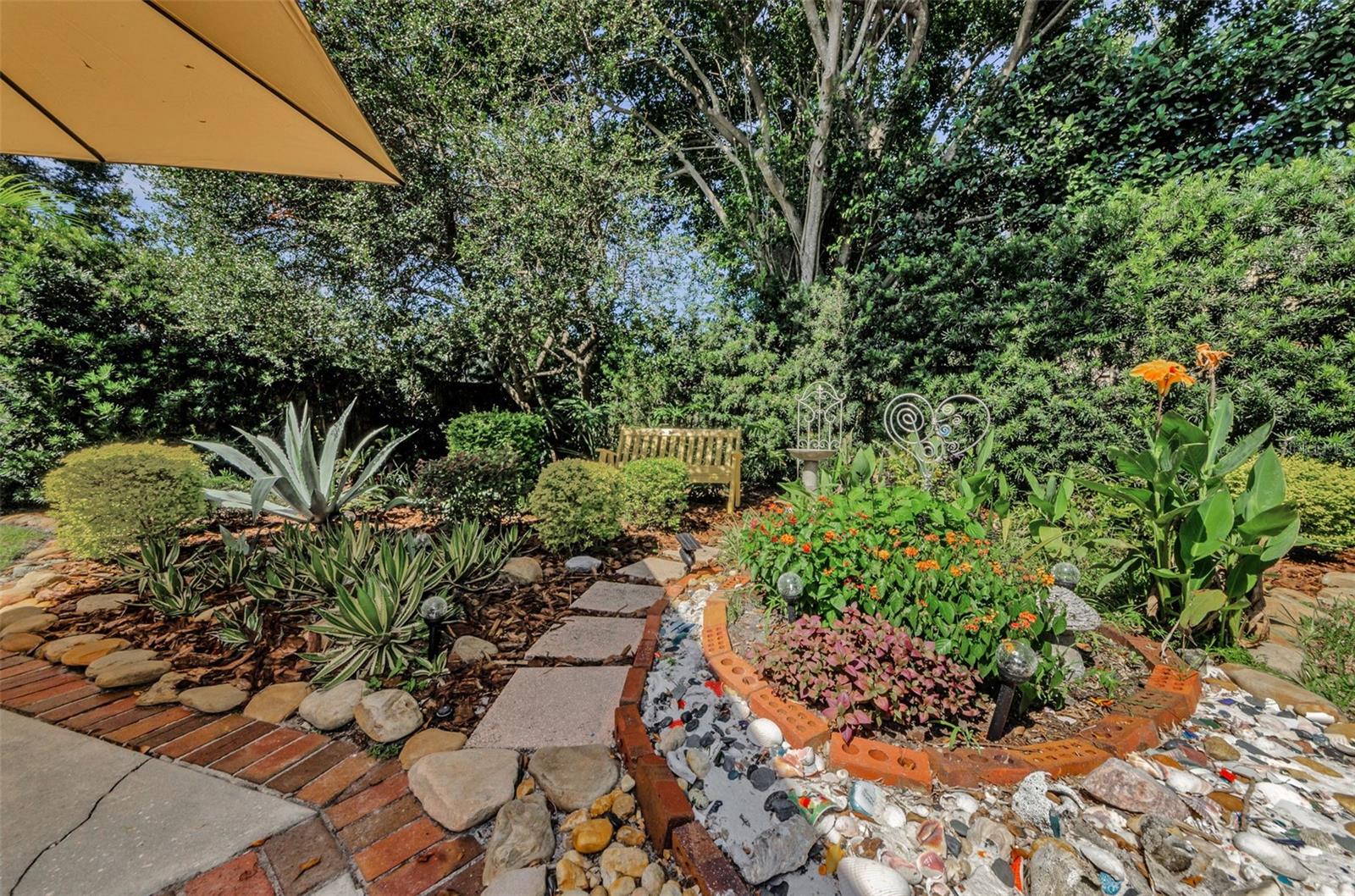 Back Yard Garden Oasis