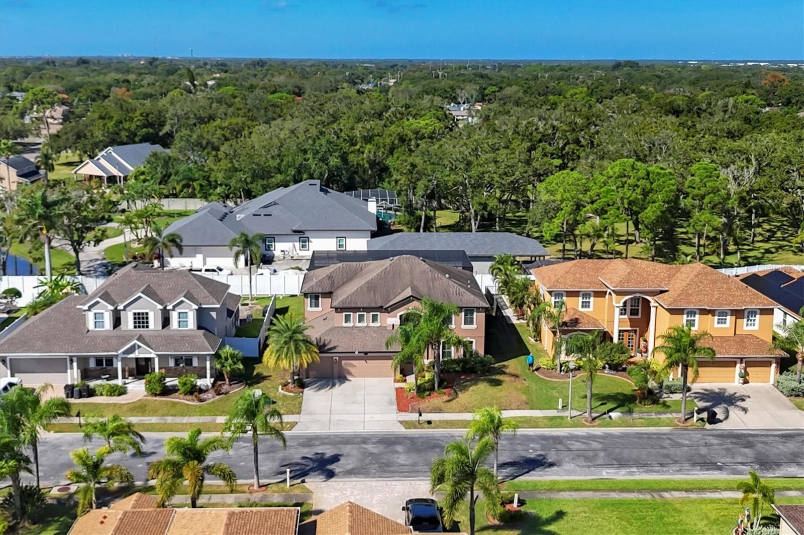 Aerial view of 9438 59th St N in the center and the other beautiful adjacent homes nearby