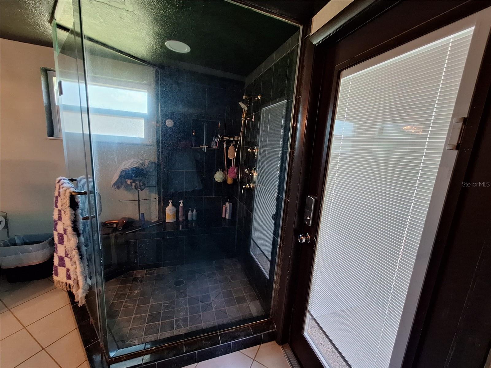 Upgraded Primary Shower and Door to Pool