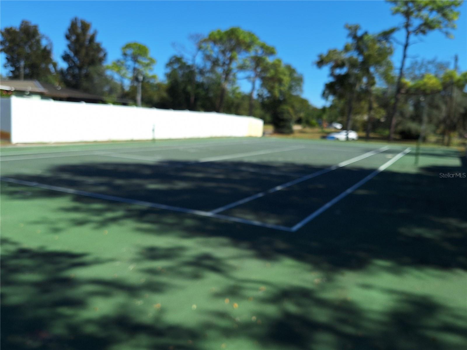 Lots of Tall Shade Trees around the Court