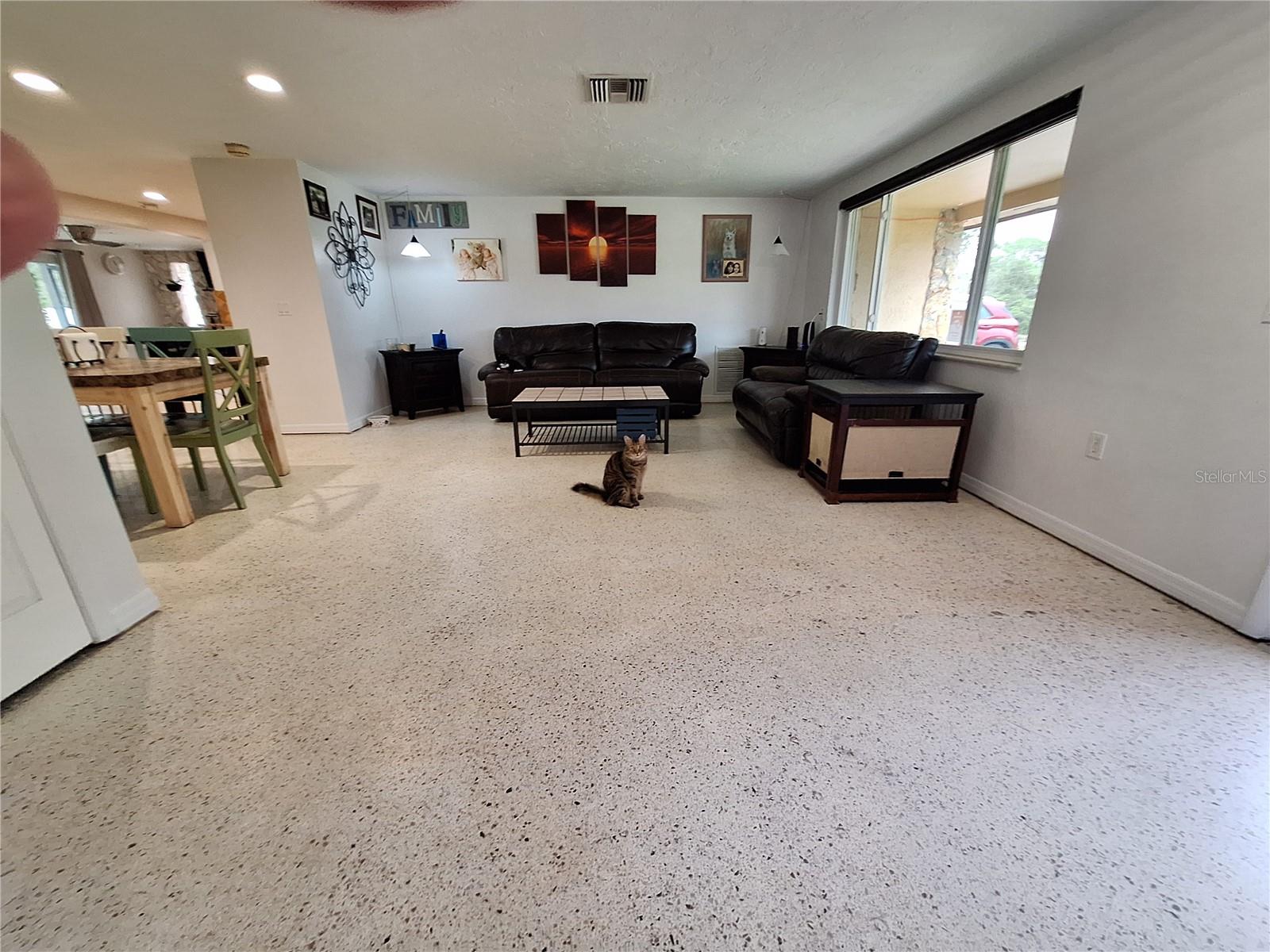 Terrazzo Floors in part of the home